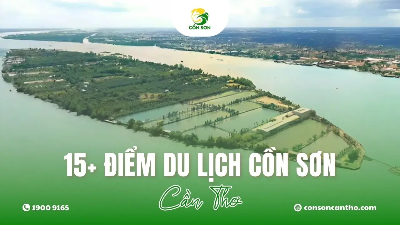 Điểm đến nổi bật khi Du lịch Cồn Sơn Cần Thơ