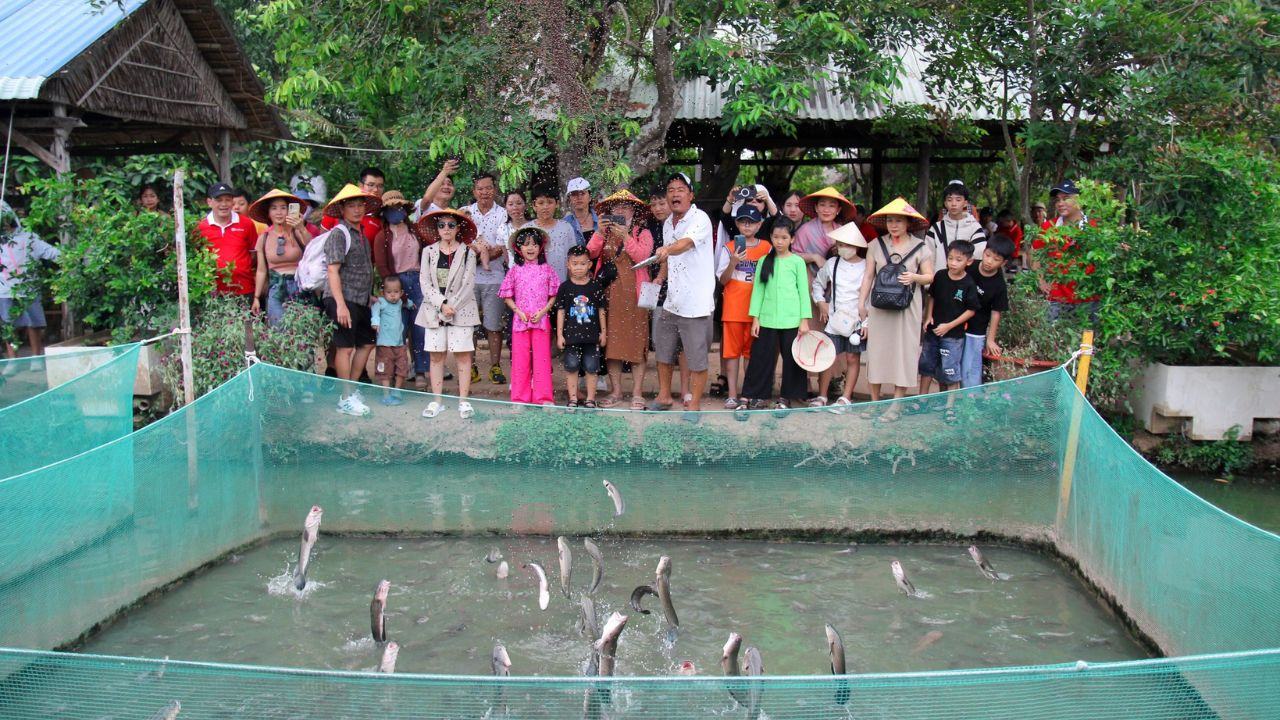 Cá lóc bay cồn sơn