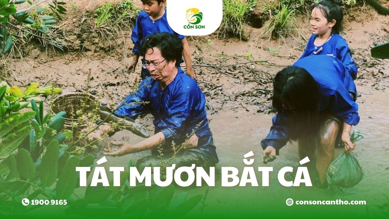 tát mương bắt cá