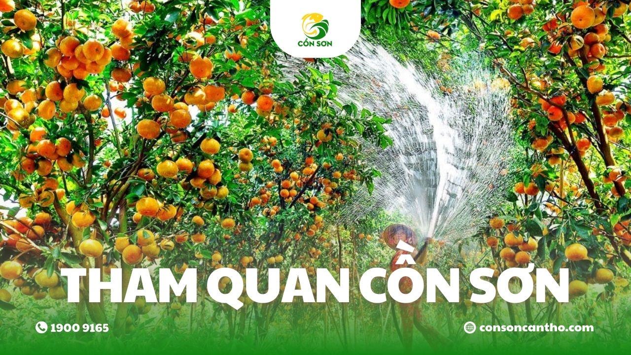 tham quan cồn sơn