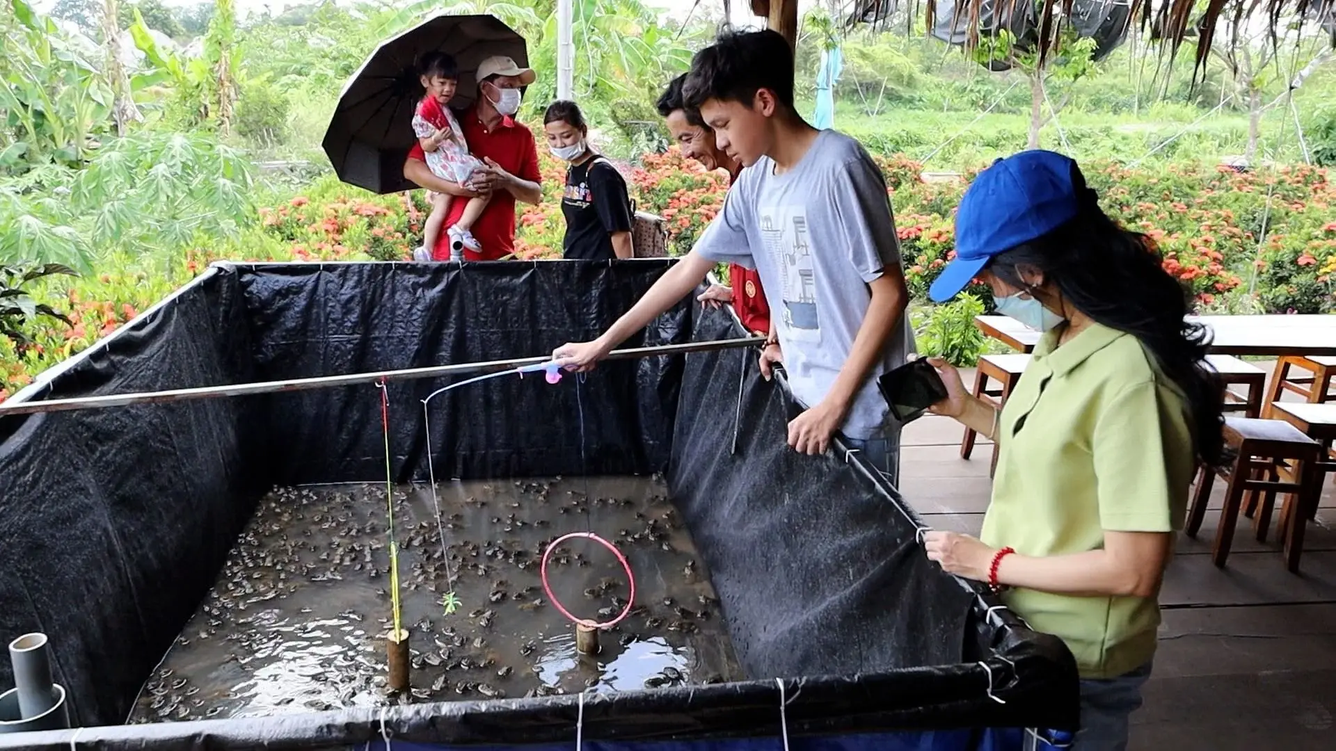 ý tưởng xiếc ếch từ anh ba càng