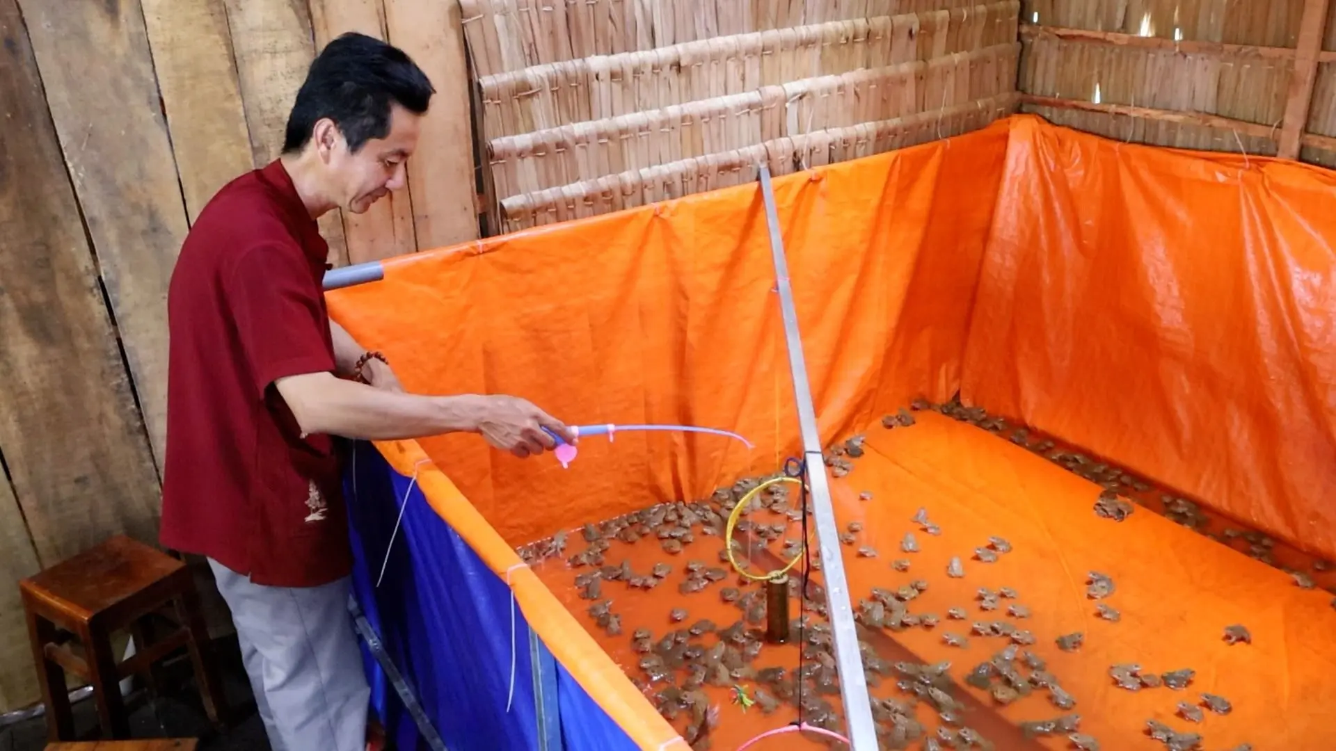 xiết ếch mang lại giá trị du lịch lớn cho cồn sơn